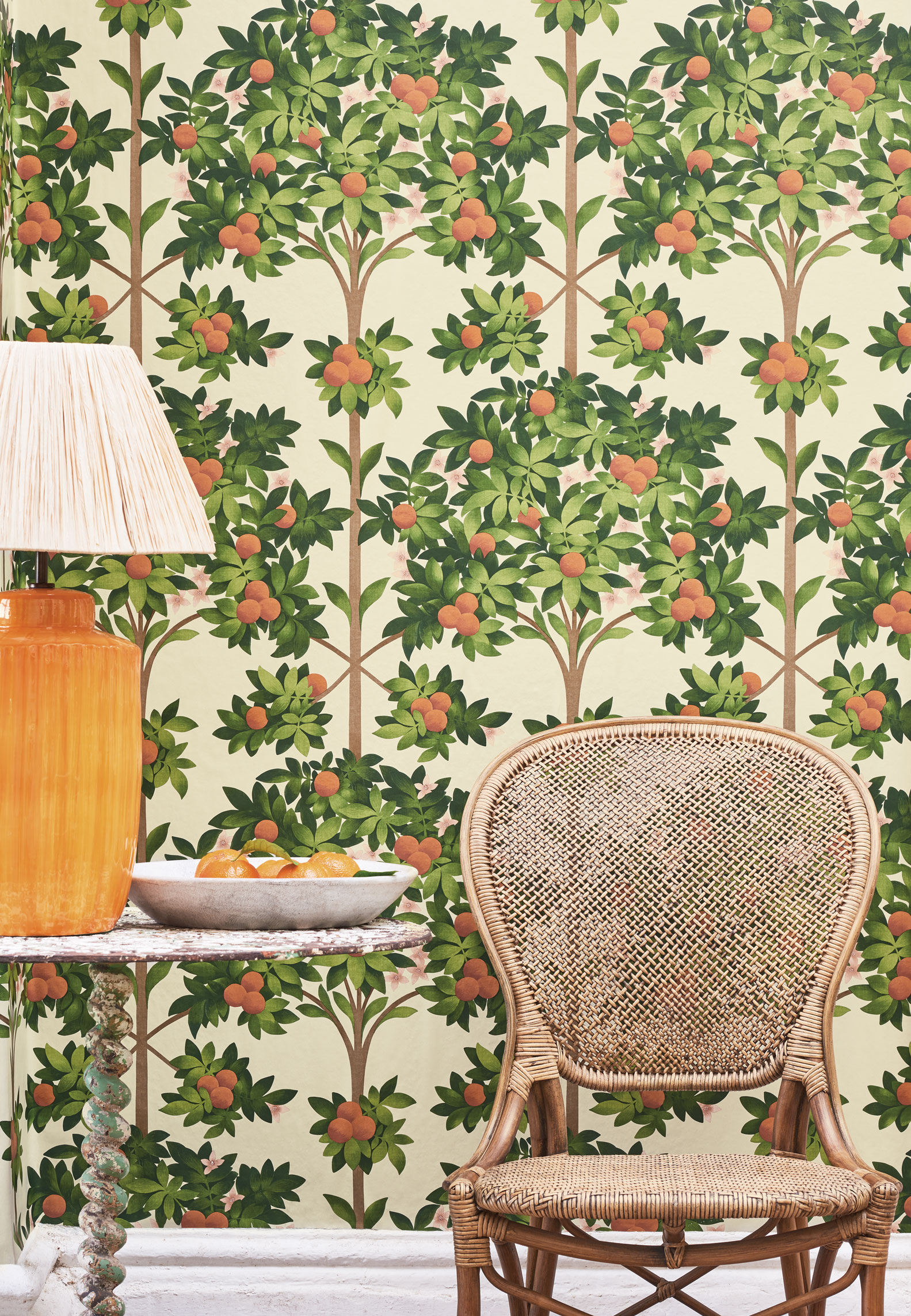 C&S_Seville_Orange Blossom 117-1001_Detail_RGB